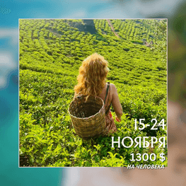 ШРИ-ЛАНКА | АВТОРСКИЕ ТУРЫ 2025