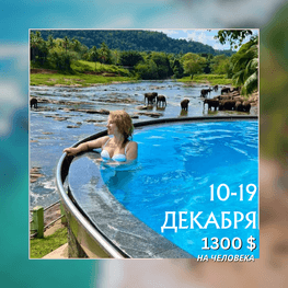 ШРИ-ЛАНКА | АВТОРСКИЕ ТУРЫ 2025