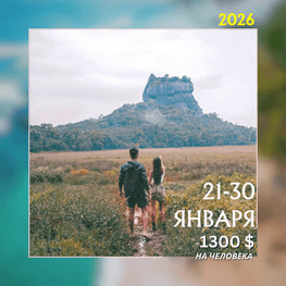 ШРИ-ЛАНКА | АВТОРСКИЕ ТУРЫ 2026