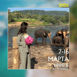 ШРИ-ЛАНКА | АВТОРСКИЕ ТУРЫ 2026